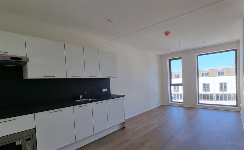 Apartment Friesestraatweg, Groningen - For Rent