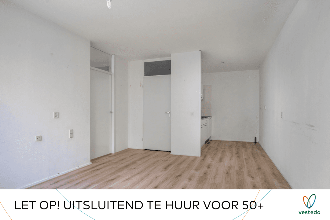 Apartment Hilvoordestraat 203, Rijswijk - For Rent