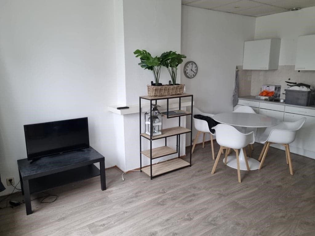 Flat Obrechtstraat, Den Haag - For Rent