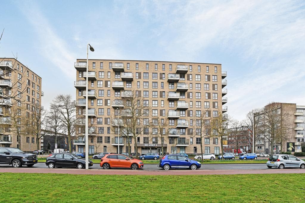 Flat Loevesteinlaan, Den Haag - For Rent