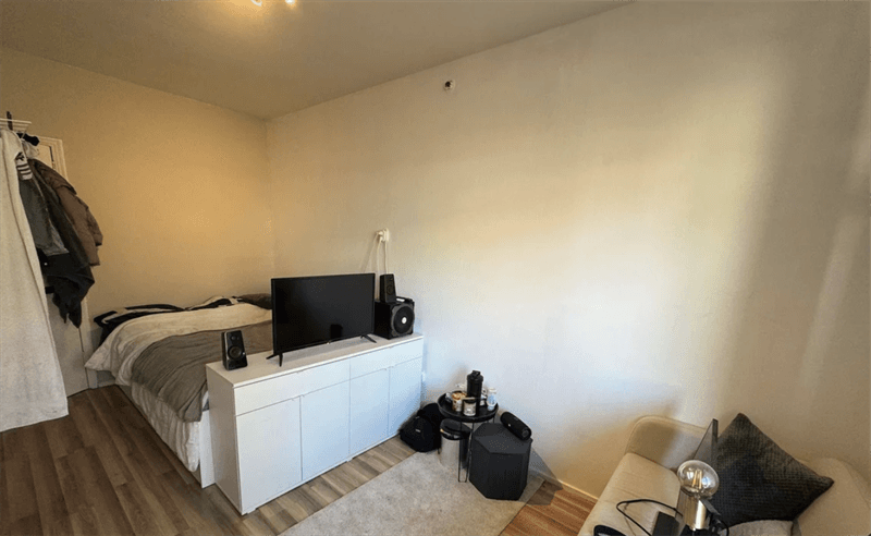 Chambre à Louer Snelliusstraat, Groningen - 495 € p/m