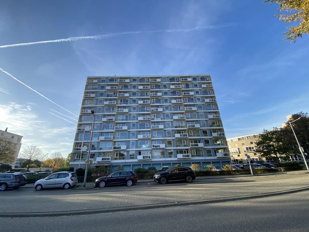 Flat Kralingseweg, Rotterdam - For Rent