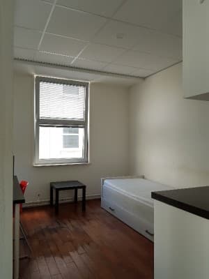 Student Studio Eisenhowerlaan 148, Den Haag - For Rent