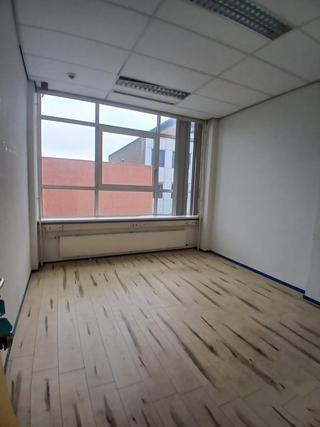 Room Van Bleyswijckstraat, Delft - For Rent