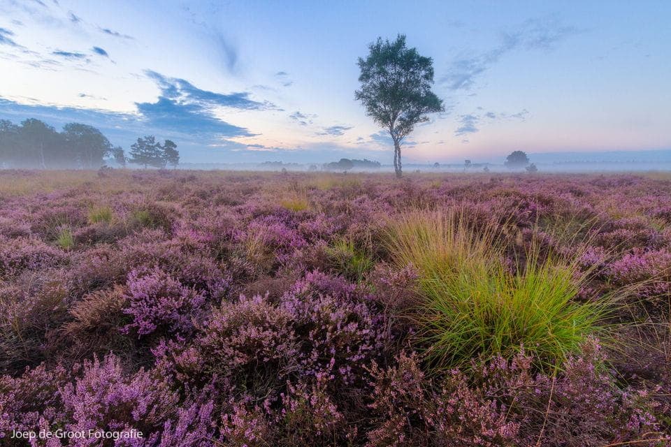 Heeze-Leende