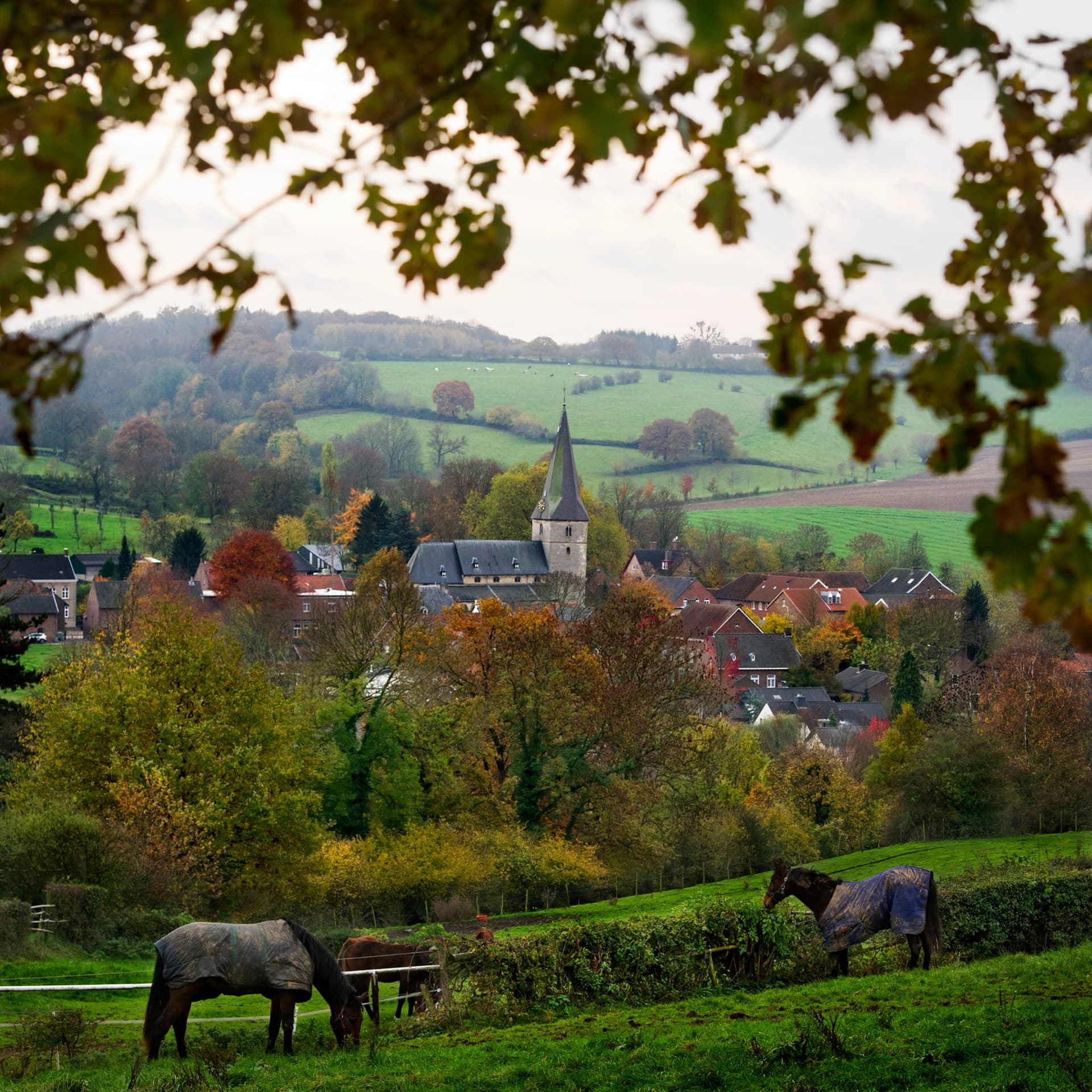 Eijsden-Margraten