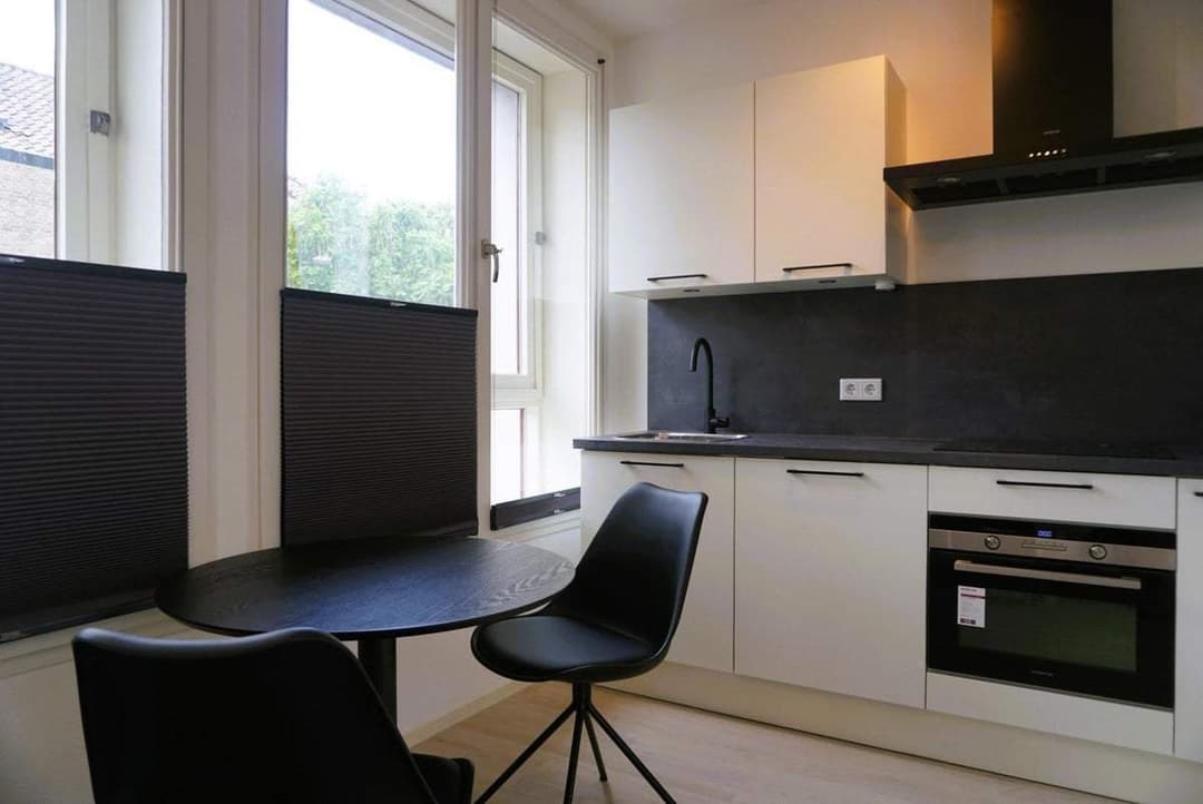 Flat Burgemeester de Widtstraat, Amersfoort - For Rent