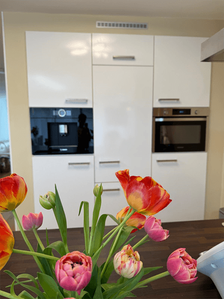 Casa Independiente Schooreind, Best - En Alquiler