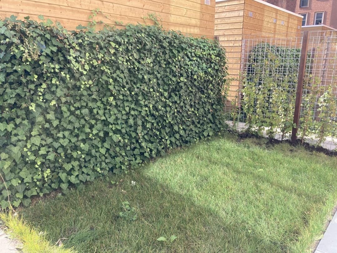 Maisonette Georgiepad 5, Almere - Zur Miete