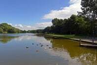 Apartment Van Drieststraat, Den Haag - For Rent