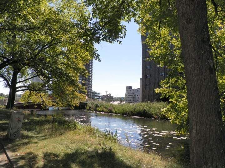 Appartement Carolina MacGillavrylaan, Amsterdam - À Louer