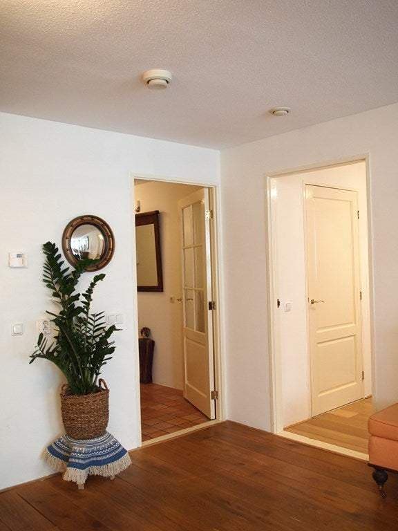 Flat Laan van Roos en Doorn, Den Haag - Zur Miete