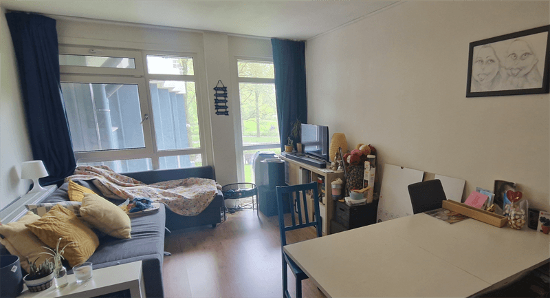 Studio Populierenlaan, Groningen - For Rent
