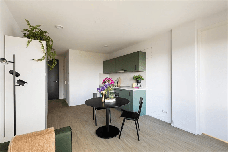 Room for Rent at Westblaak, Rotterdam