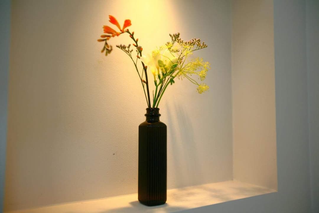 House Nicolaïstraat 79, Den Haag - Alquiler