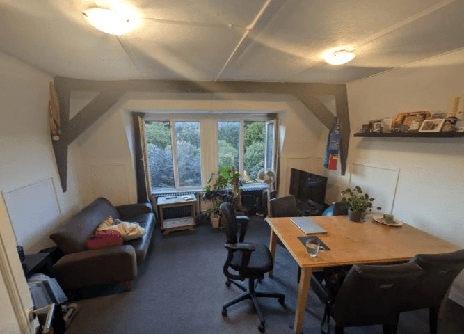 Bezuidenhoutseweg, The Hague - Apartment (2 rooms, 40 m²)