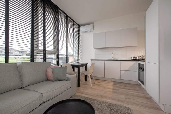 Apartamento de corta estancia Wethouder Hillenaarplantsoen, Rijswijk - En alquiler