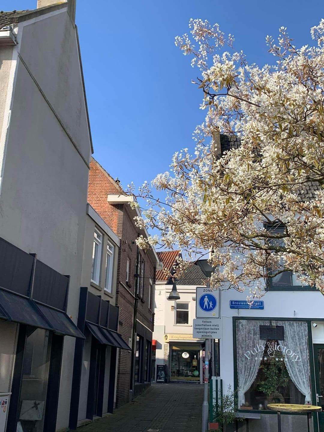 Flat Markt, Terneuzen - For Rent