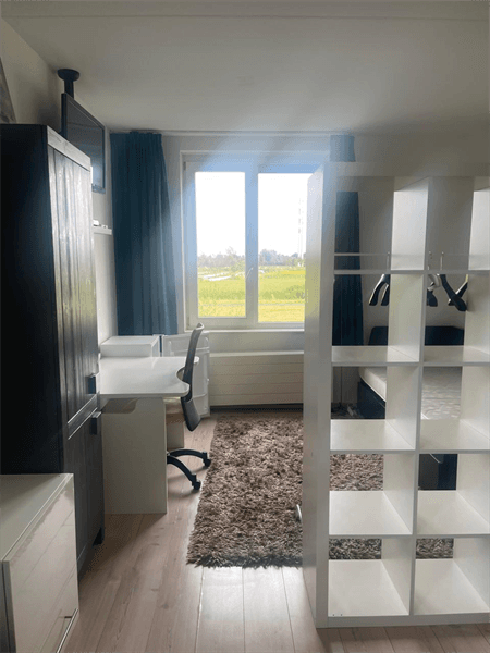 Studio Jack Sharp Park, Vijfhuizen - Furnished