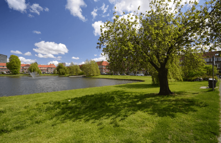 Room for Rent Kortenaerstraat, Groningen