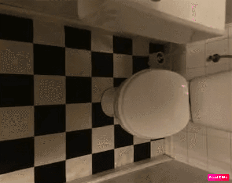 Estudio Magdalena Moonsstraat, Leiden - En alquiler